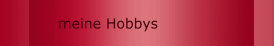 meine Hobbys